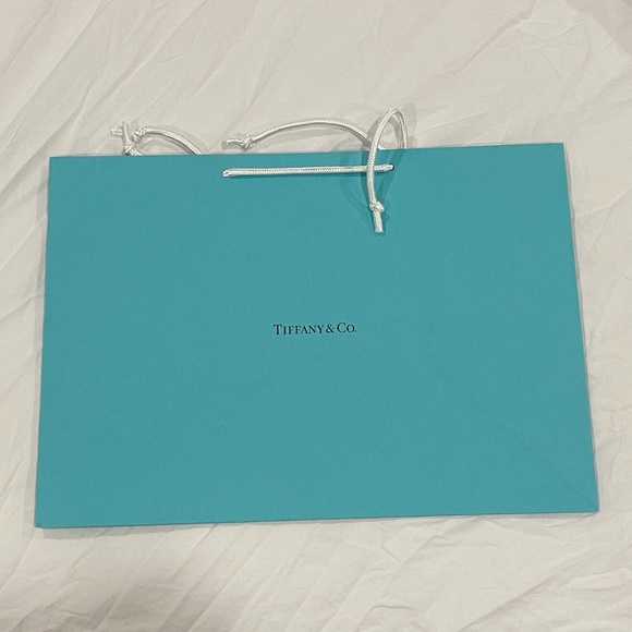 3/$40 NEW Tiffany & co shopping bag large rectangle size! - Picture 2 of 4
